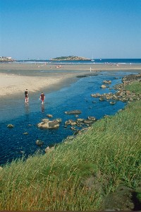 Good Harbor Beach