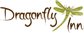 Logo for Dragonfly